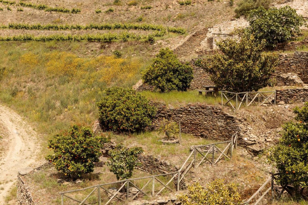 Quinta Nova Winery House - Relais & Chateaux Pinhão Εξωτερικό φωτογραφία