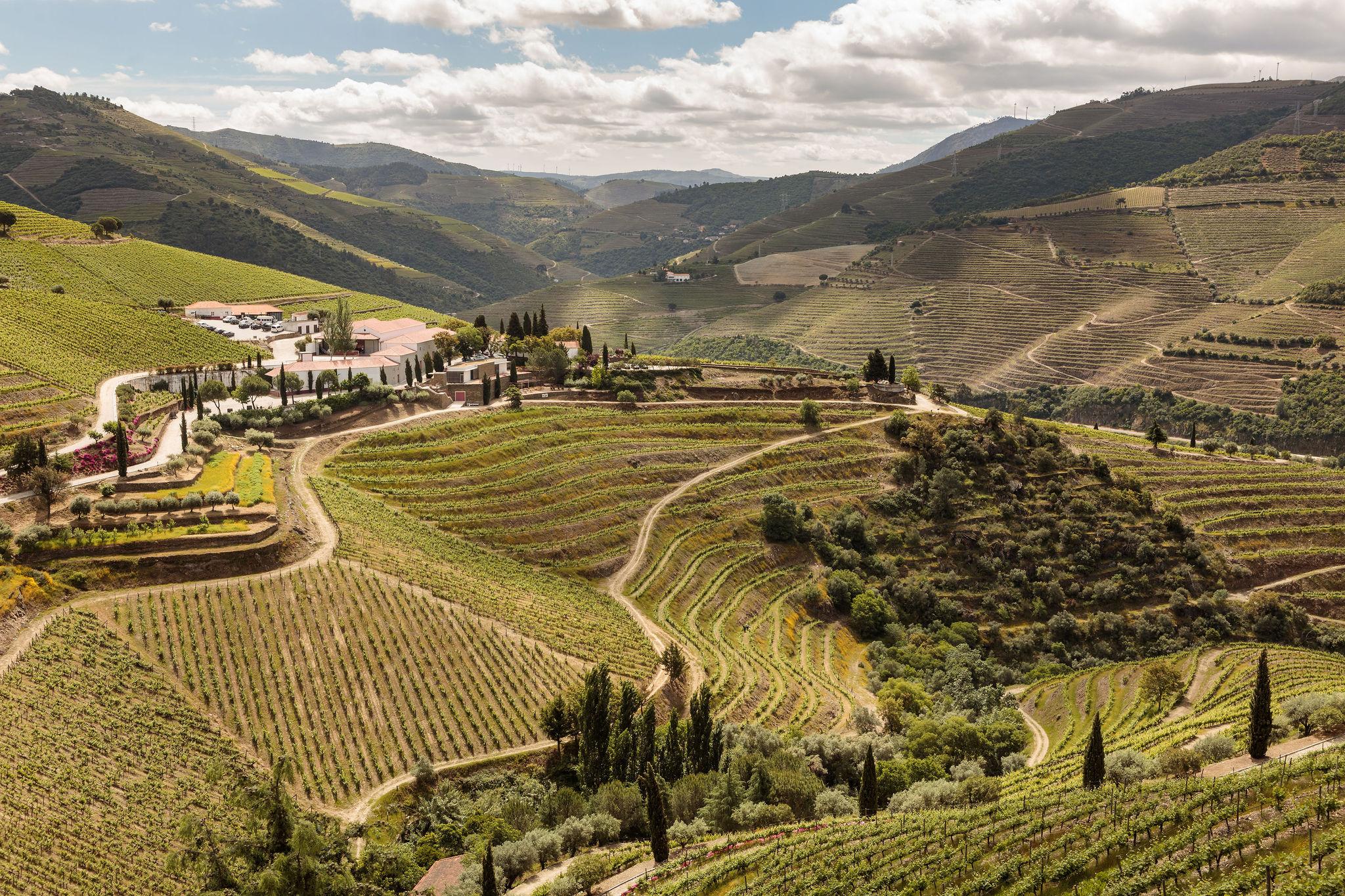 Quinta Nova Winery House - Relais & Chateaux Pinhão Εξωτερικό φωτογραφία